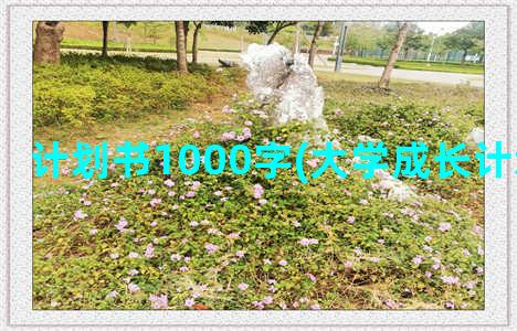 计划书1000字(大学成长计划书1000字)