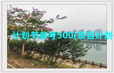 计划书参考500(项目计划书参考)