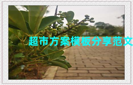 超市方案模板分享范文