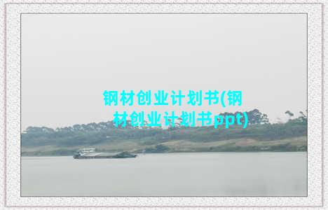 钢材创业计划书(钢材创业计划书ppt)