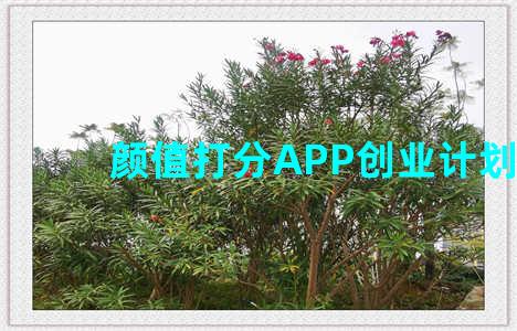 颜值打分APP创业计划书